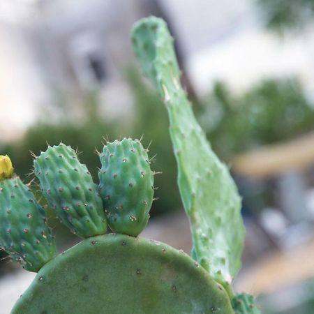 Il Giardino Delle Margherite Lecce Dış mekan fotoğraf