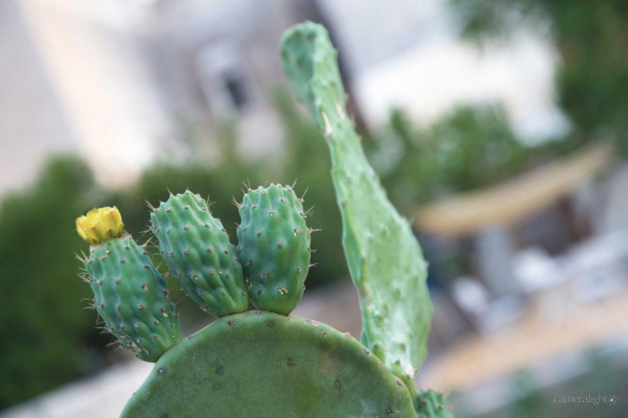 Il Giardino Delle Margherite Lecce Dış mekan fotoğraf
