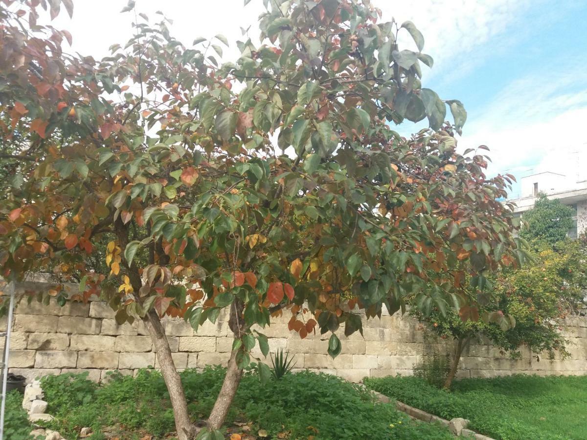 Il Giardino Delle Margherite Lecce Dış mekan fotoğraf