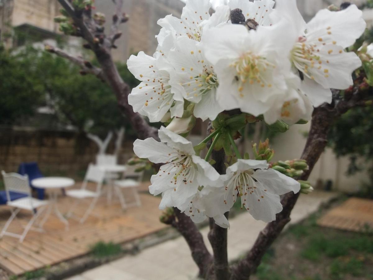 Il Giardino Delle Margherite Lecce Dış mekan fotoğraf